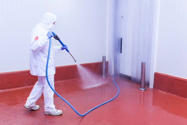 Best Graffiti Removal  in Short Pump, VA